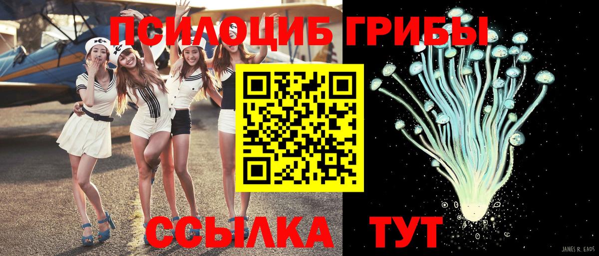 Псилоцибиновые грибы GOLDEN TEACHER Солнечногорск