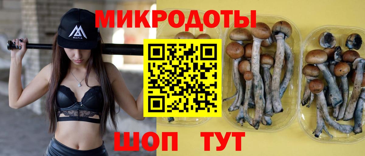 Солнечногорск  Галлюциногенные грибы Psilocybine cubensis  Псилоцибиновые грибы мухоморы  Вход с VPN 